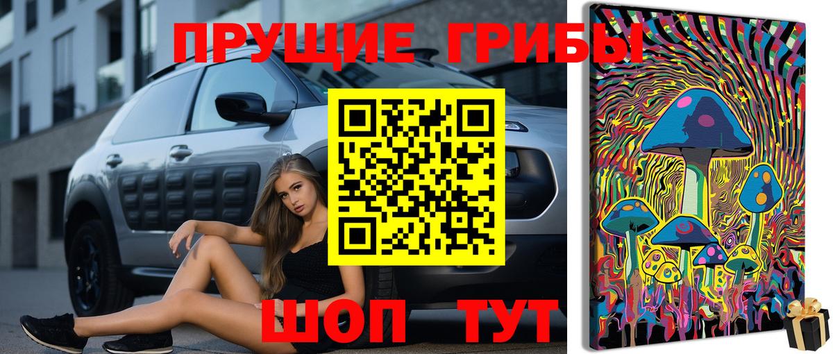 Кимовск  Псилоцибиновые грибы мухоморы  Вход с VPN 